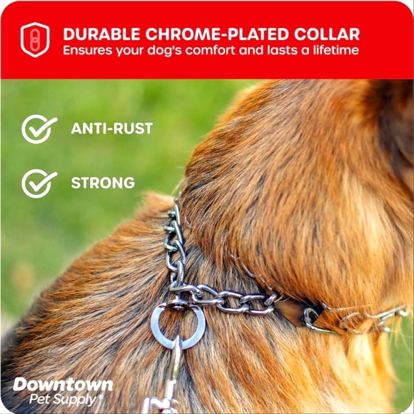 Downtown Pet Supply Prong Training Collar with Quick Release (Chrome, Me… - Picture 4 of 6